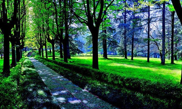 Terme