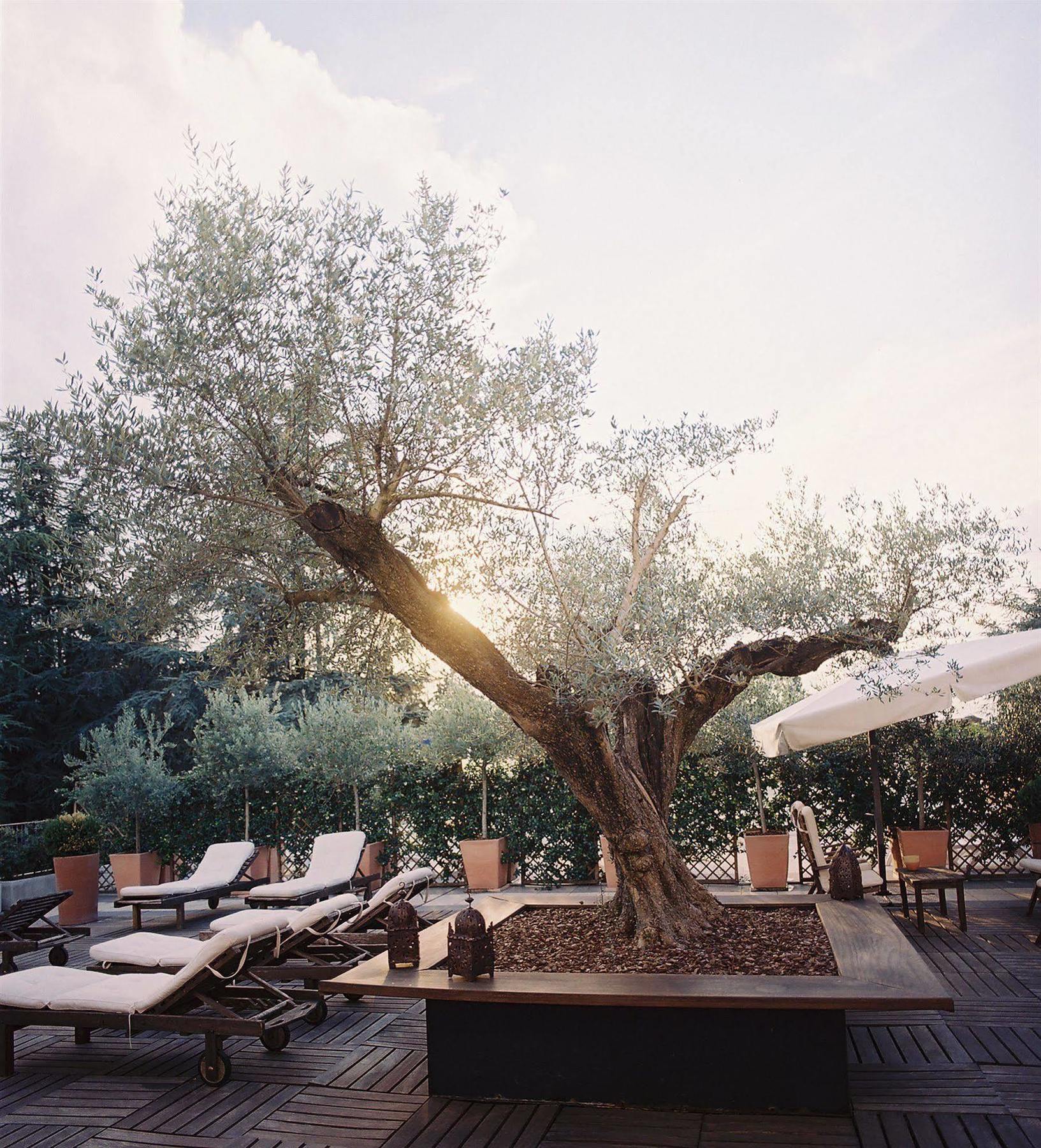 Terme Hotel